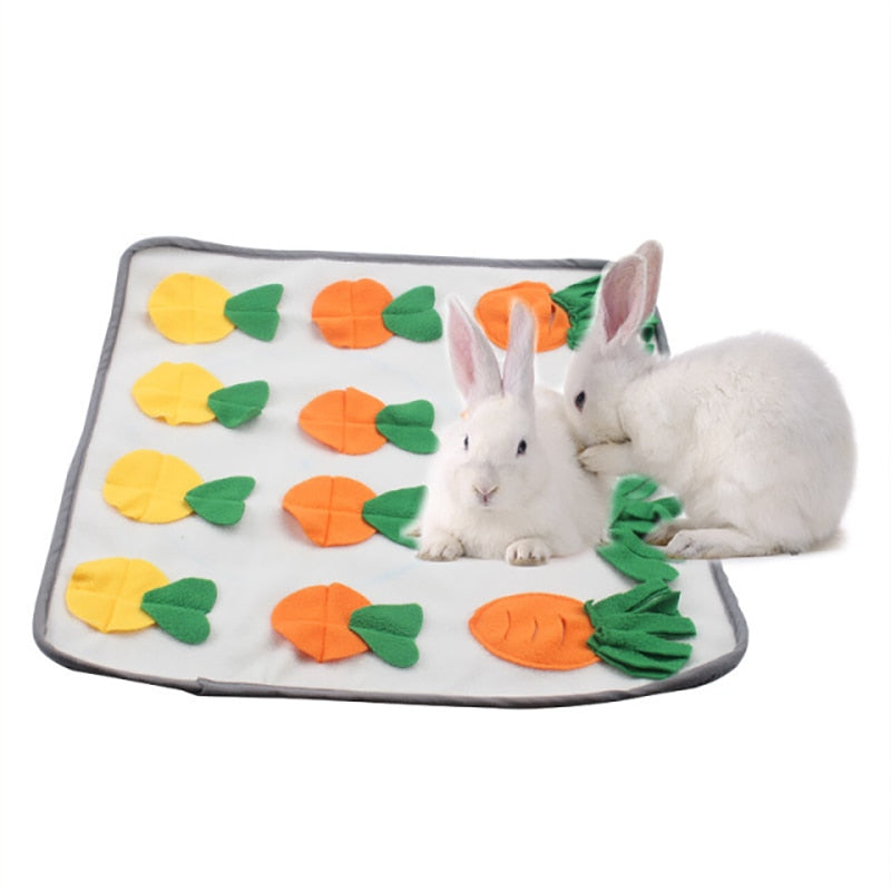 Tapis lapin rafraîchissant carotte