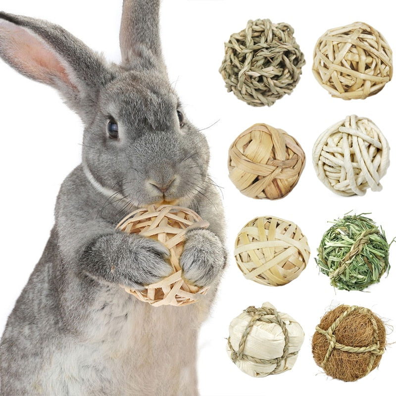 Jouets pour lapin - Balles à mâcher