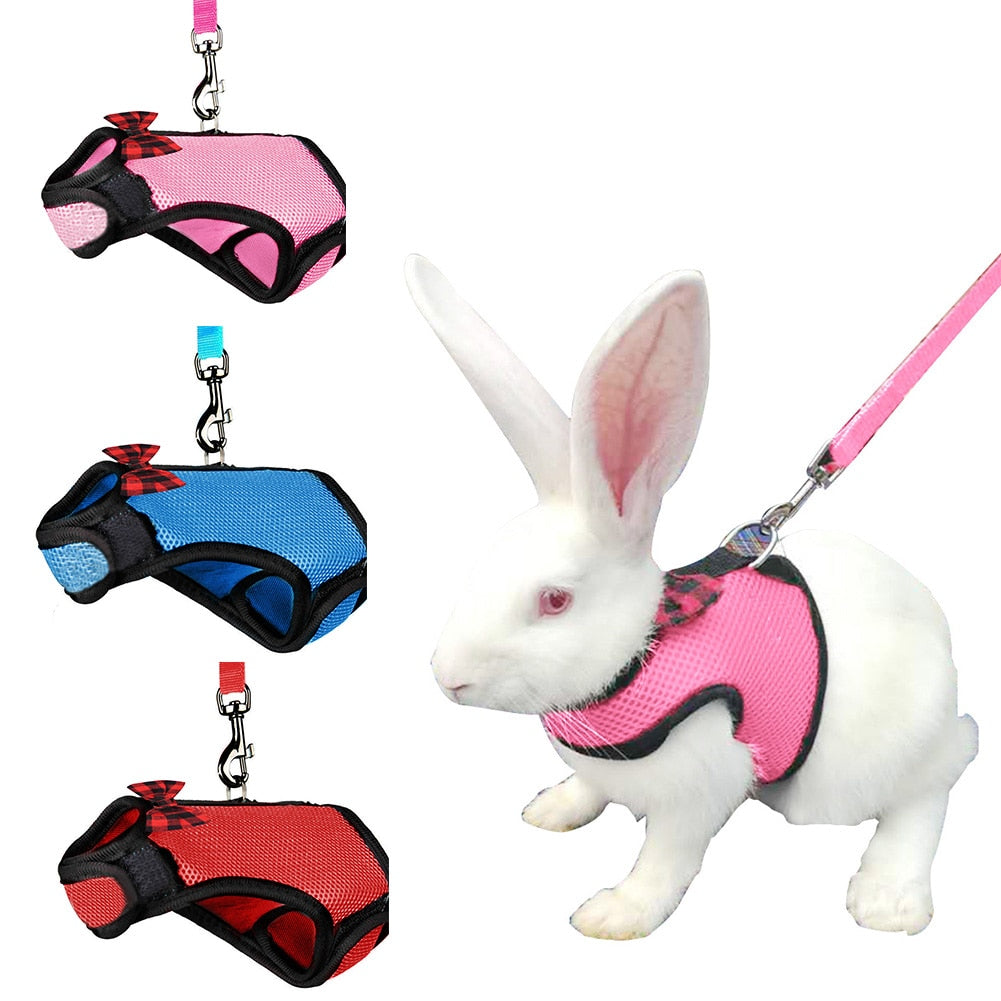 Harnais Lapin avec laisse - Noeud Papillon