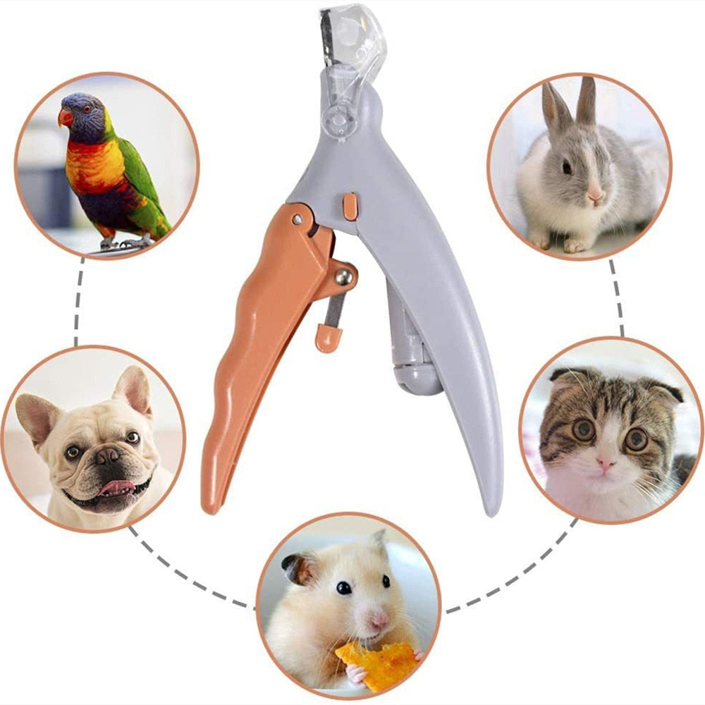 Coupe griffes pour Lapin - Professionnel