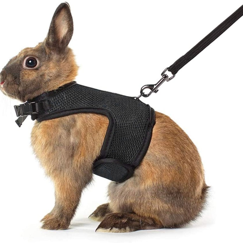 Harnais Lapin avec Laisse - Le Petit Monsieur