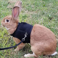 Harnais Lapin avec Laisse - Le Petit Monsieur