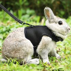 Harnais Lapin avec Laisse - Le Petit Monsieur