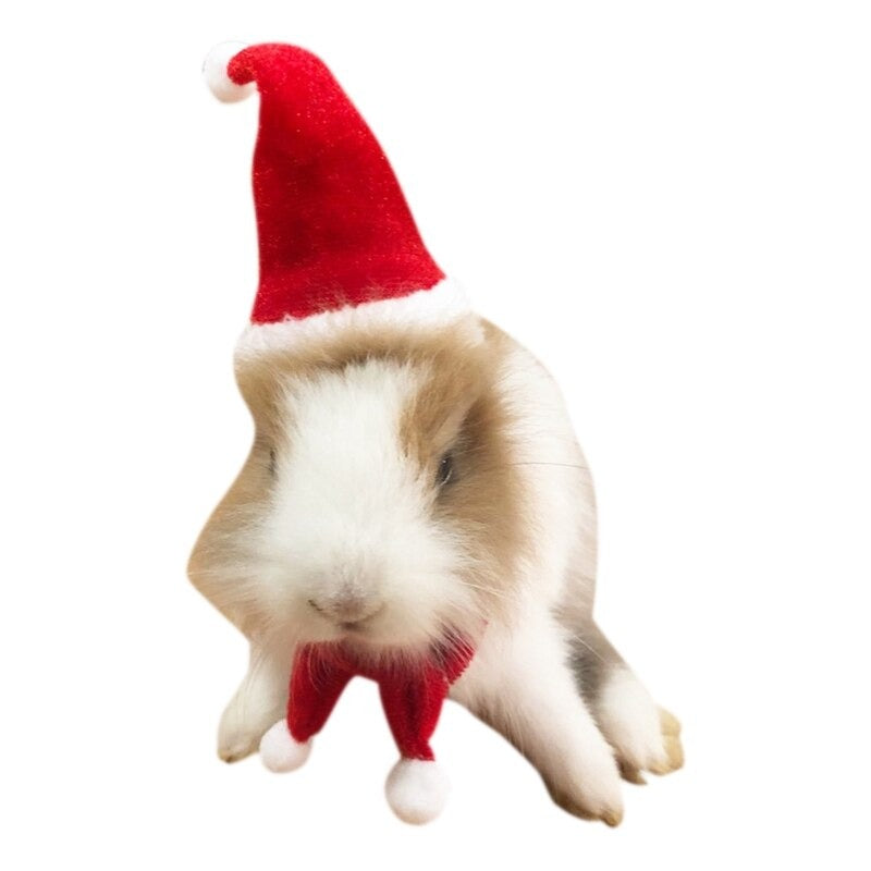 Costume de Noël pour Lapin