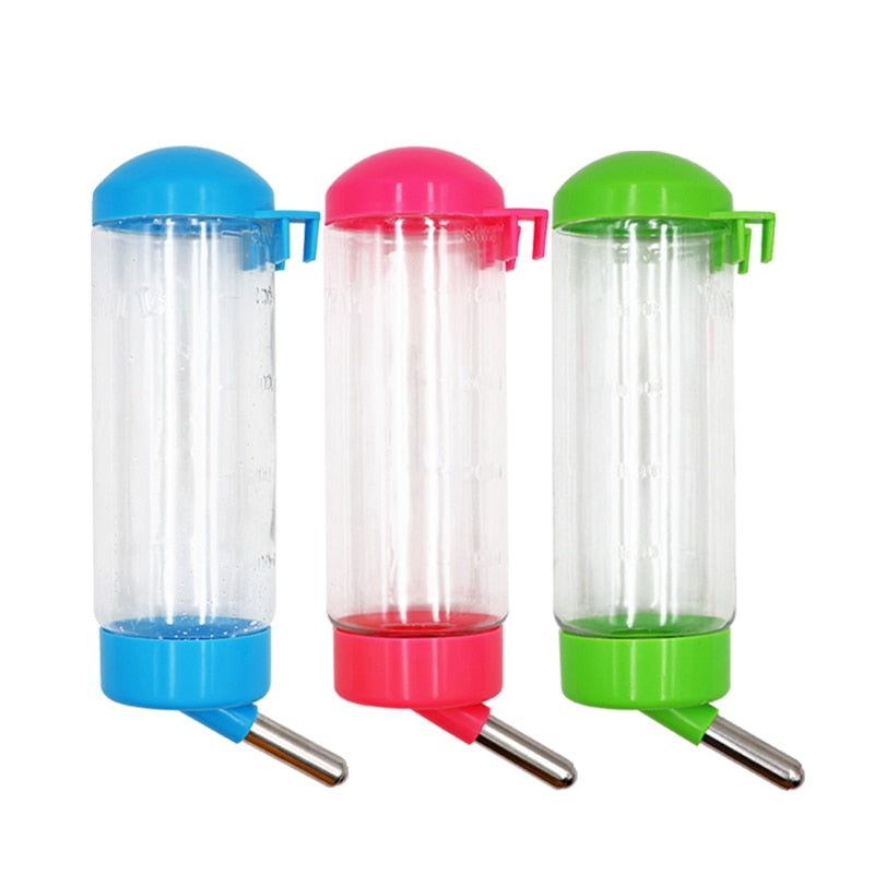 Biberon pour rongeur Couleur