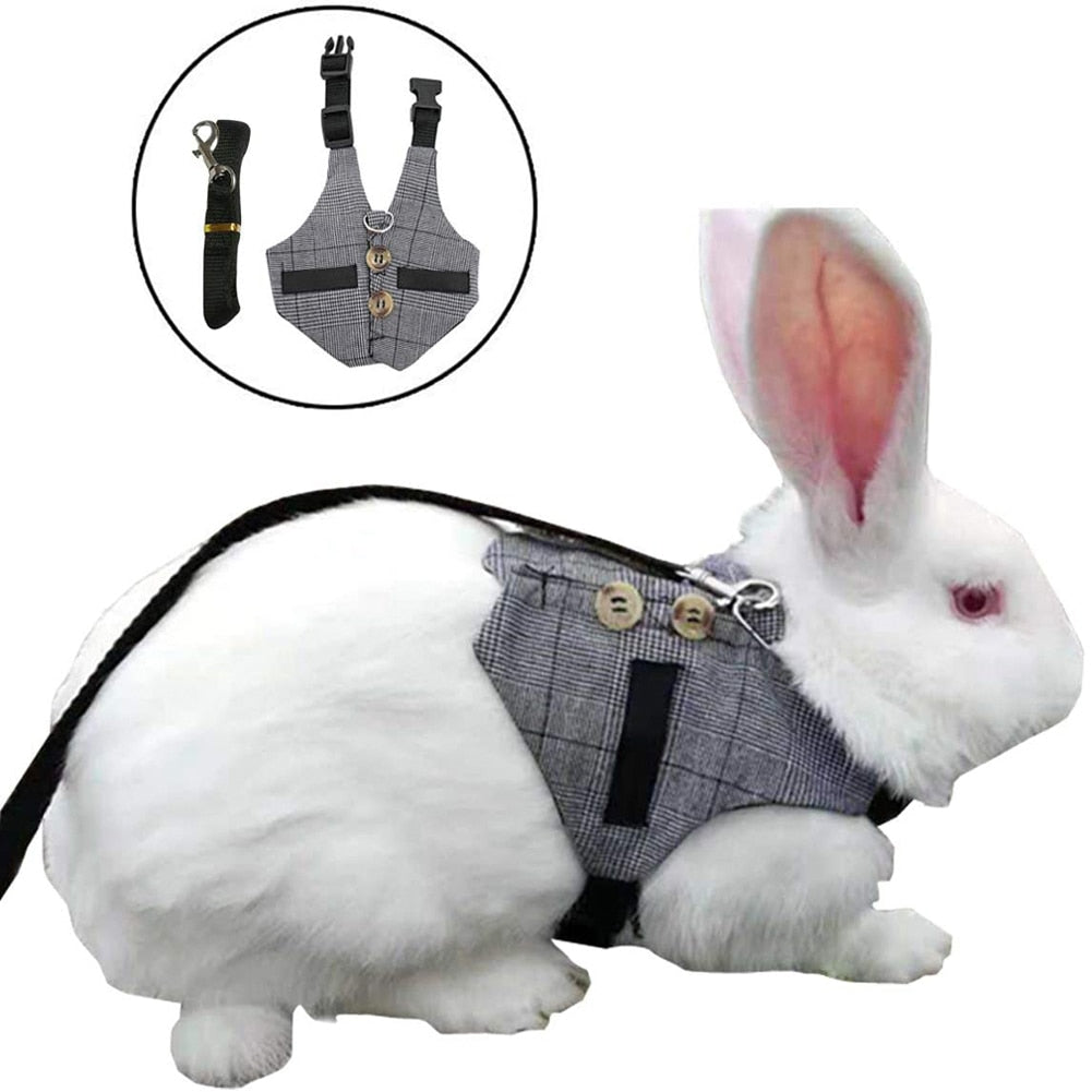 Harnais Lapin avec Laisse
