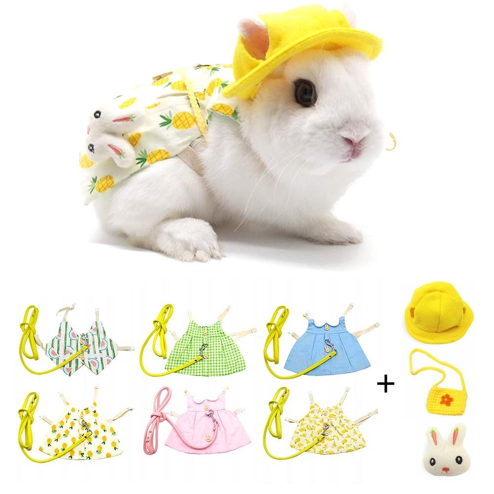 Laisse et vêtements pour Lapin