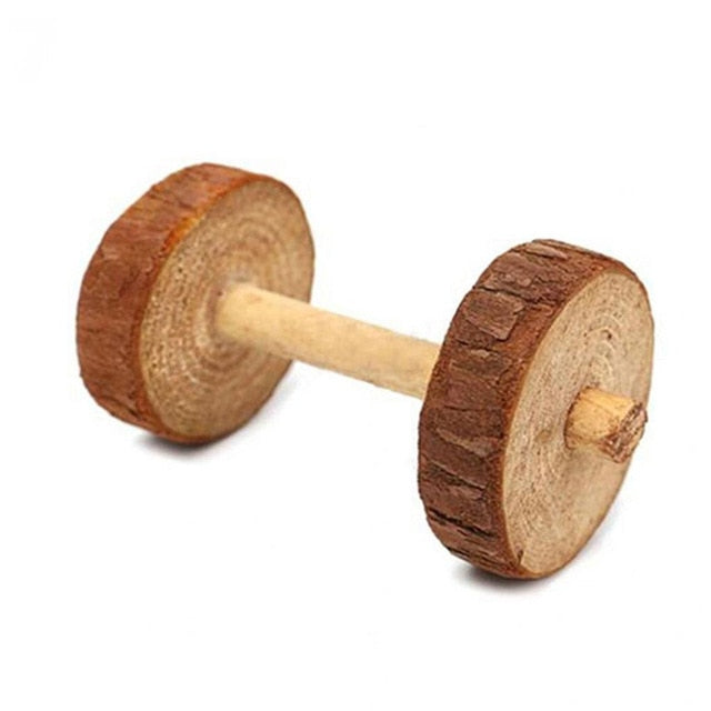 Petit Jouet Rongeurs Sporty : Haltère