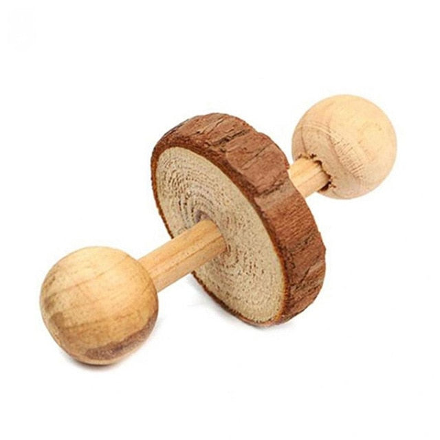 Petit Jouet Rongeurs Sporty : Roulette en bois ab's
