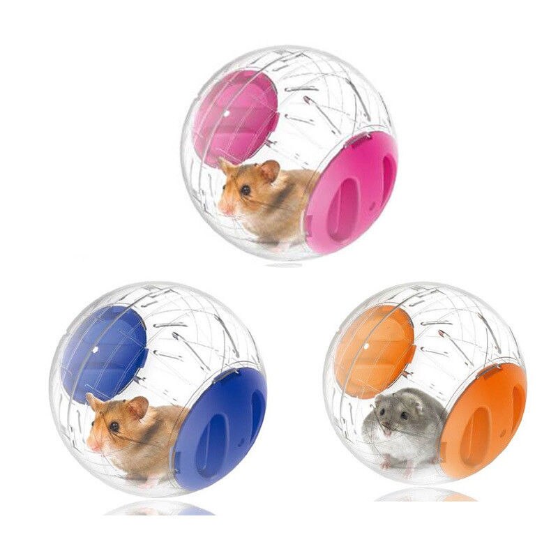 Boule d'exercice Rongeur Runner