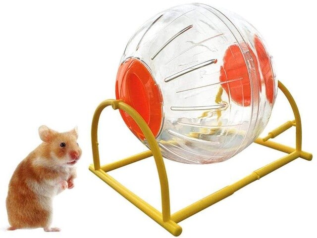 Boule d'exercice Rongeur Runner avec armature