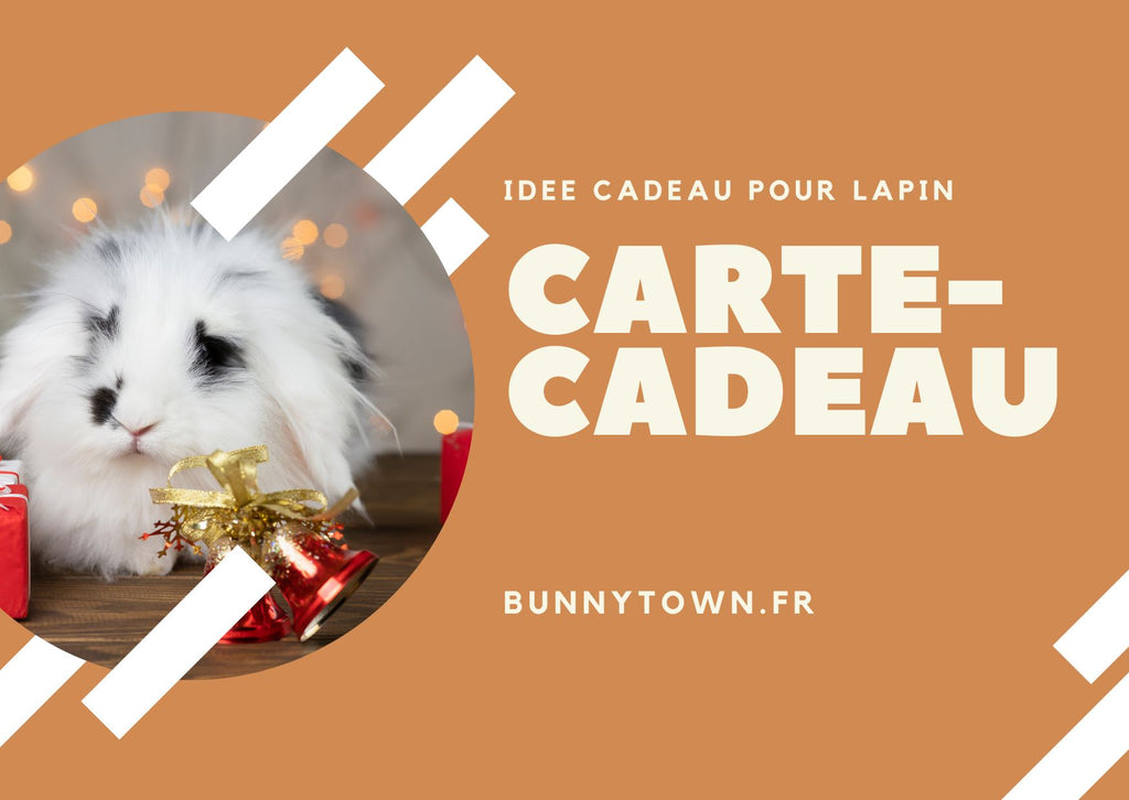 Idée Cadeau pour Lapin