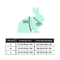 Harnais pour Lapin : Élégant