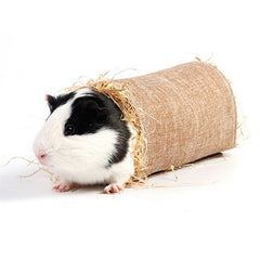 Tunnel pour Lapin fait maison hamster