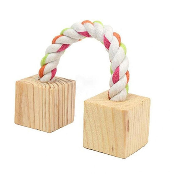 Petit Jouet Rongeurs Sporty : Cubes en bois et corde